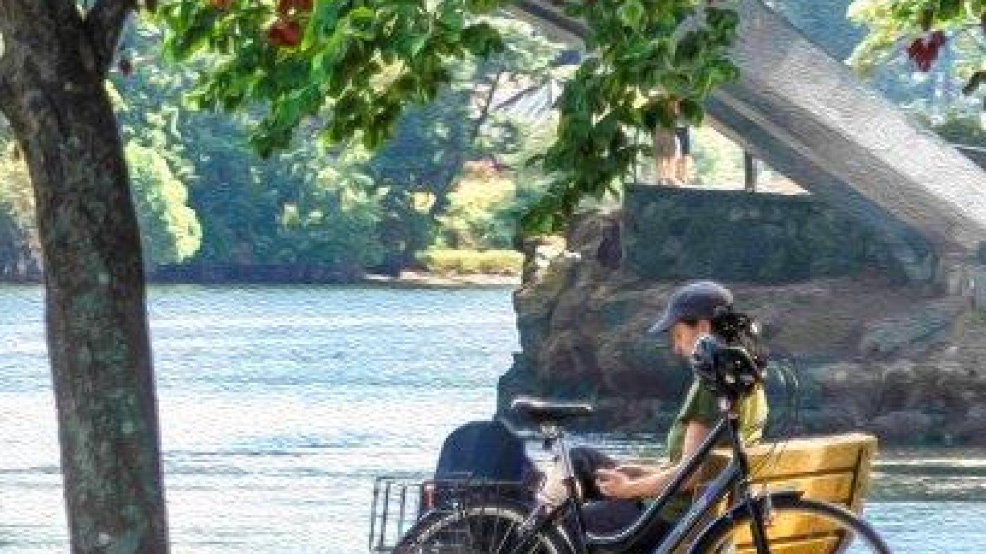 Summer Bike
