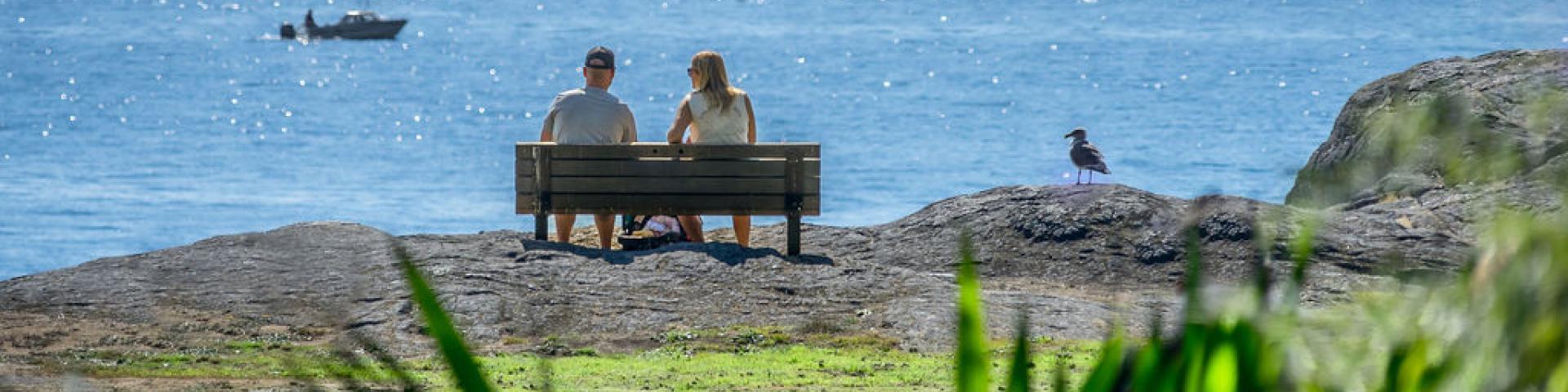 Two people on a park bench