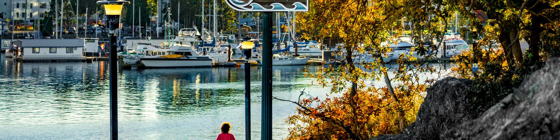 walking with dogs along songhees walkway west bay marina