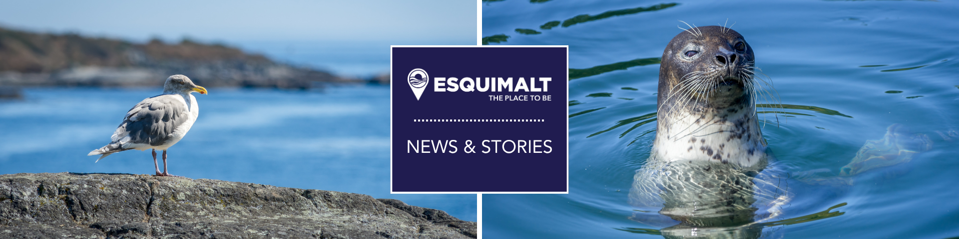 Esquimalt News and stories