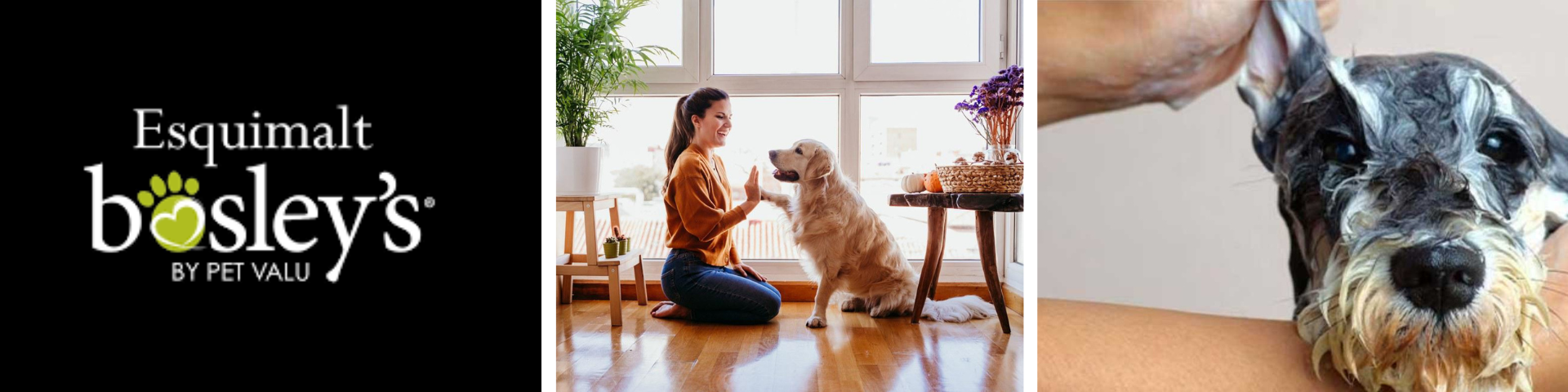 Bosley's Esquimalt