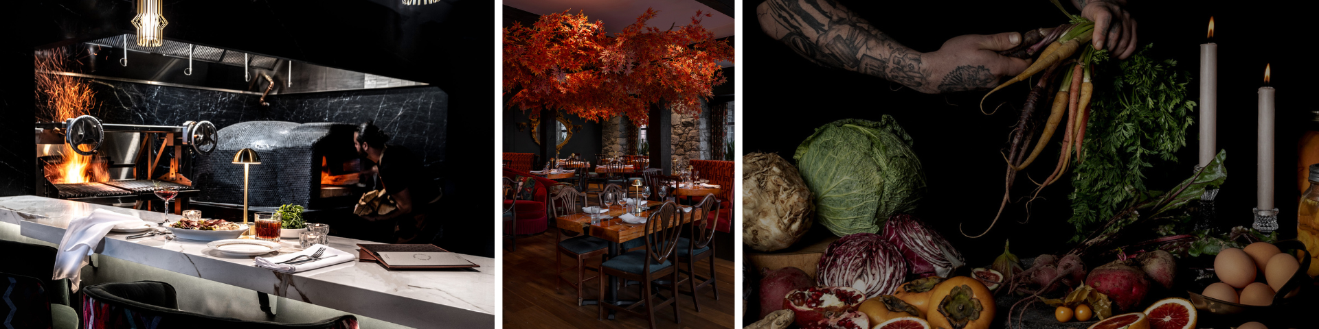 Janevca Kitchen and Lounge