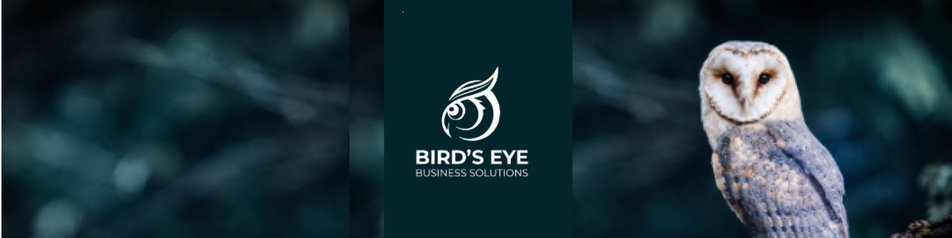 Bird's Eye Business Solutions Banner