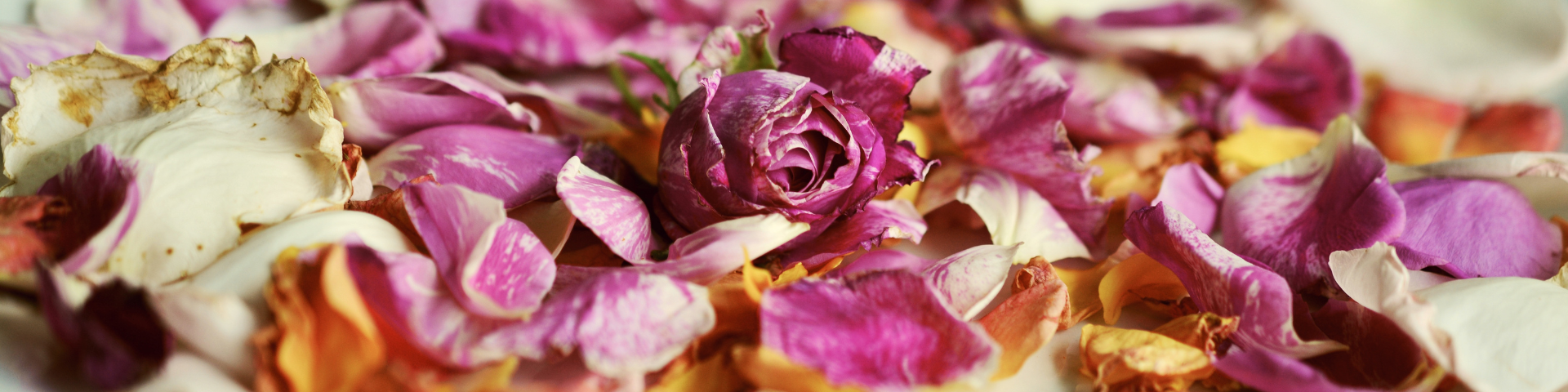 Kodo The Way Of Fragrance