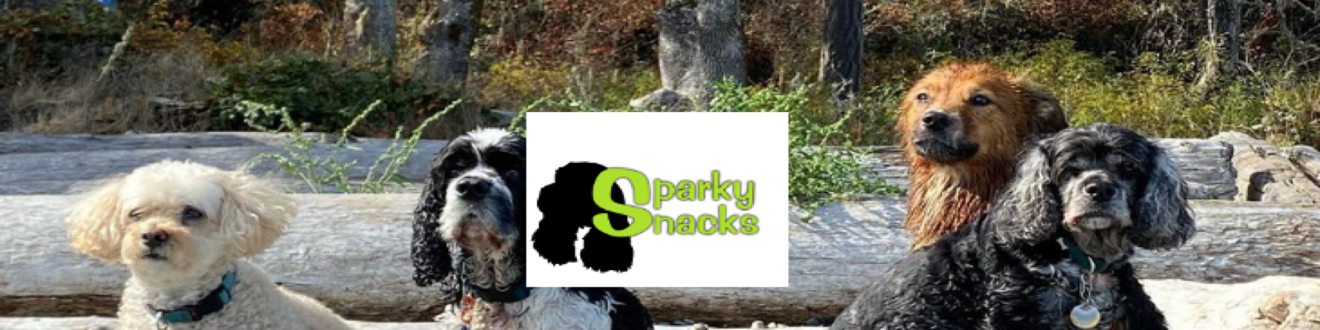 Sparky Snacks Esquimalt, BC