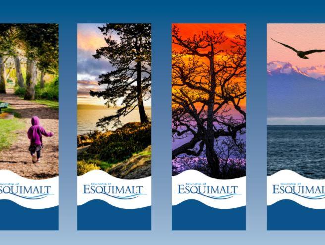 Images are of Phil Ross Park, Saxe Point Park and views from Saxe Point.