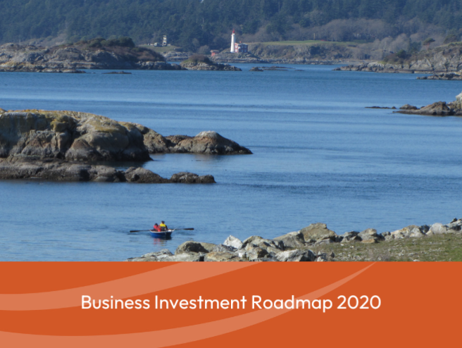Business Investment Roadmap 2020